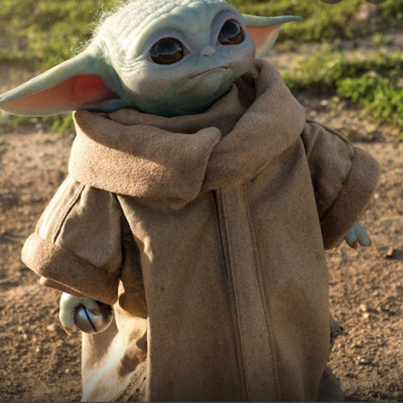 Meet your Posher, Zhonya - Picture 1 of 1